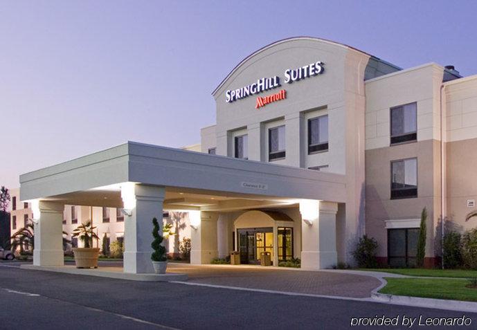 Springhill Suites By Marriott Corpus Christi Zewnętrze zdjęcie